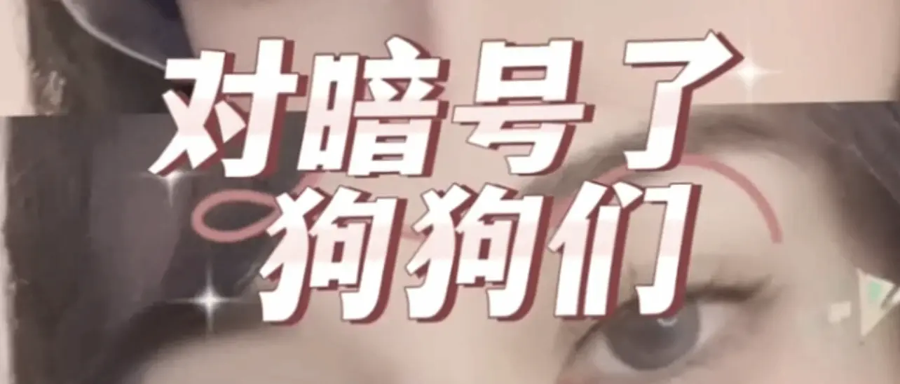 西檬之家什么是spank?字母圈新人必看指南 一