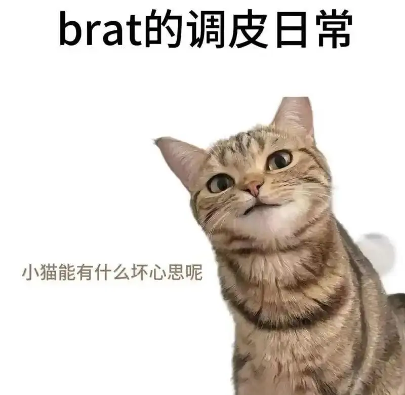 西檬之家ddlg是什么?揭秘字母圈中的可爱支配与臣服关系 一
