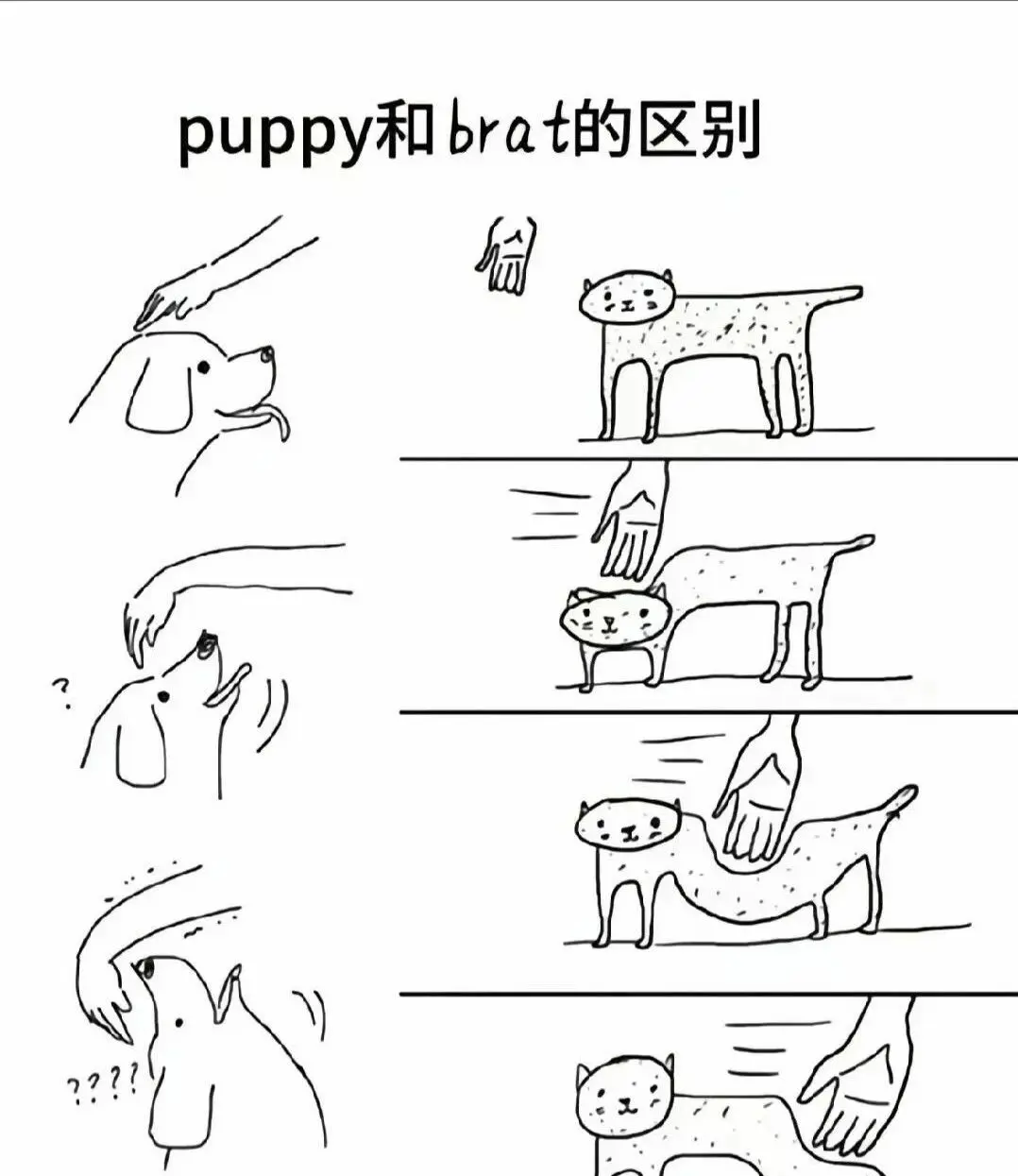 西檬之家字母圈中的管教如何建立信任关系? 一