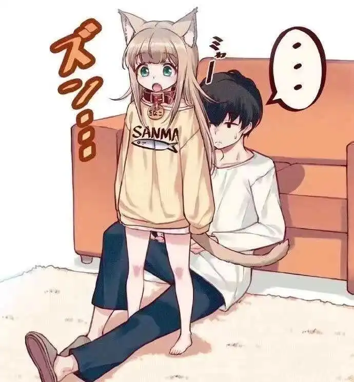 西檬之家k8猫系是什么?它与字母圈的关系解析 一