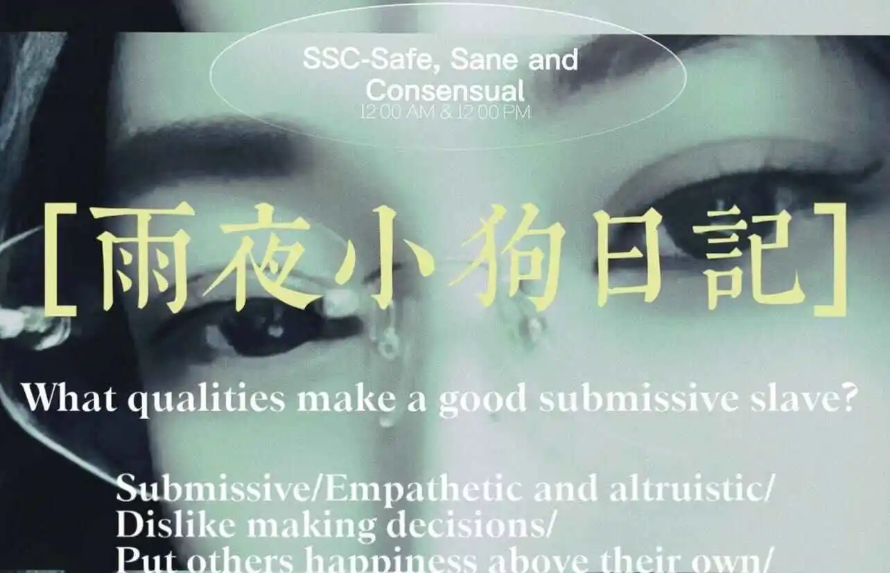 西檬之家brat属性是什么?字母圈新人必看指南 一