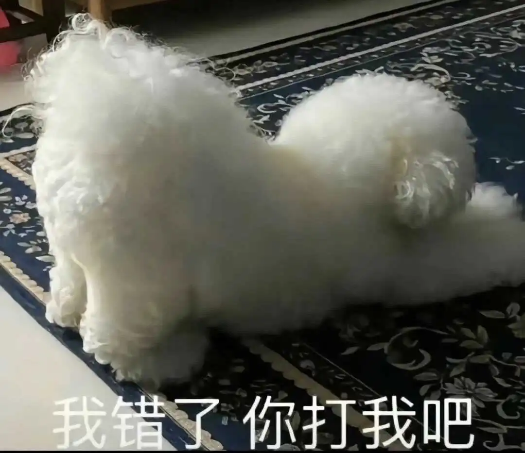 西檬之家K9是什么?了解字母圈中的这项迷人实践 一