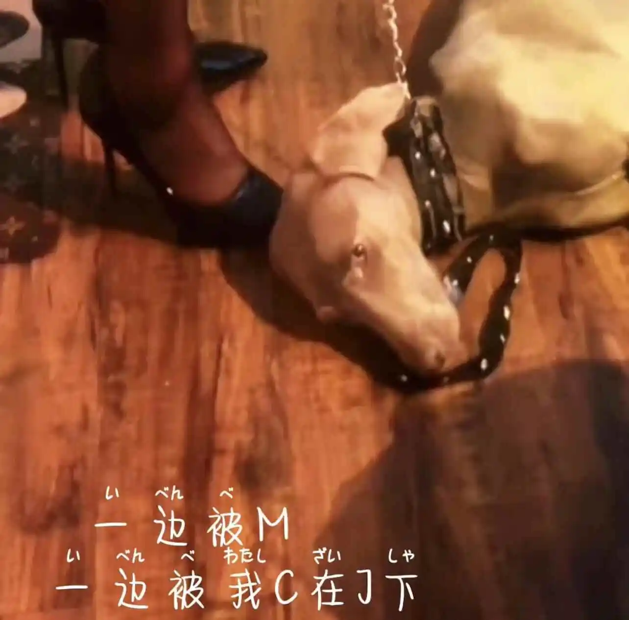 西檬之家字母圈中的spank到底是什么意思? 一