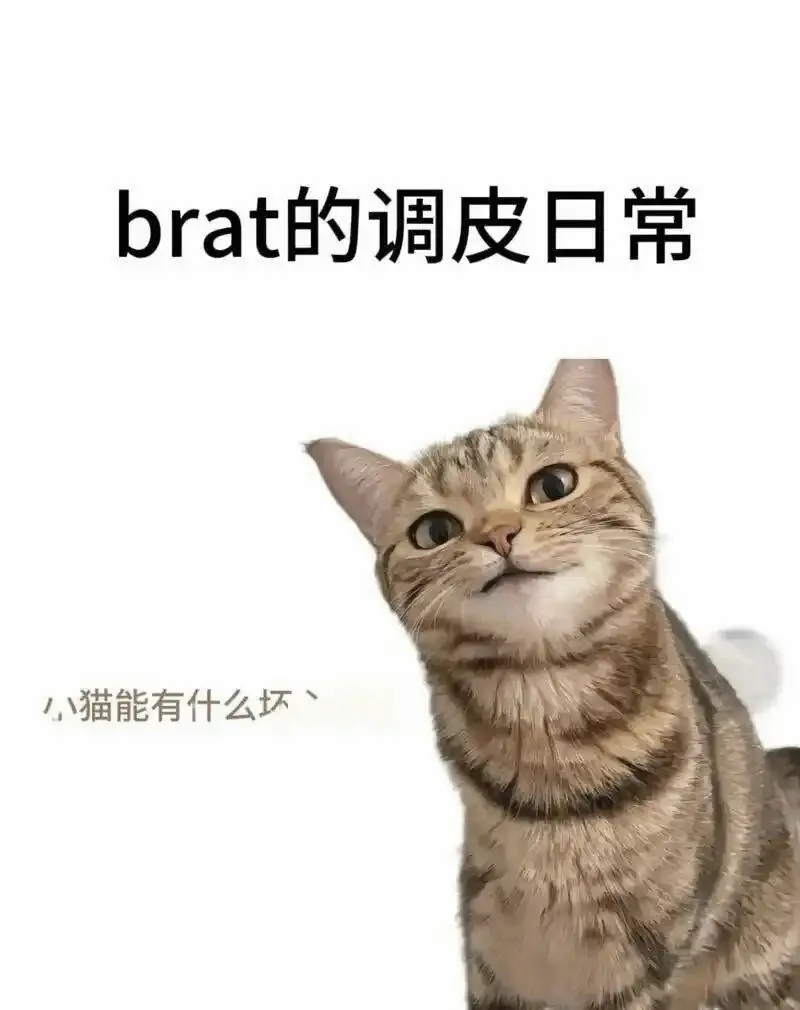 西檬之家spank是什么?这一字母圈实践你了解多少? 一