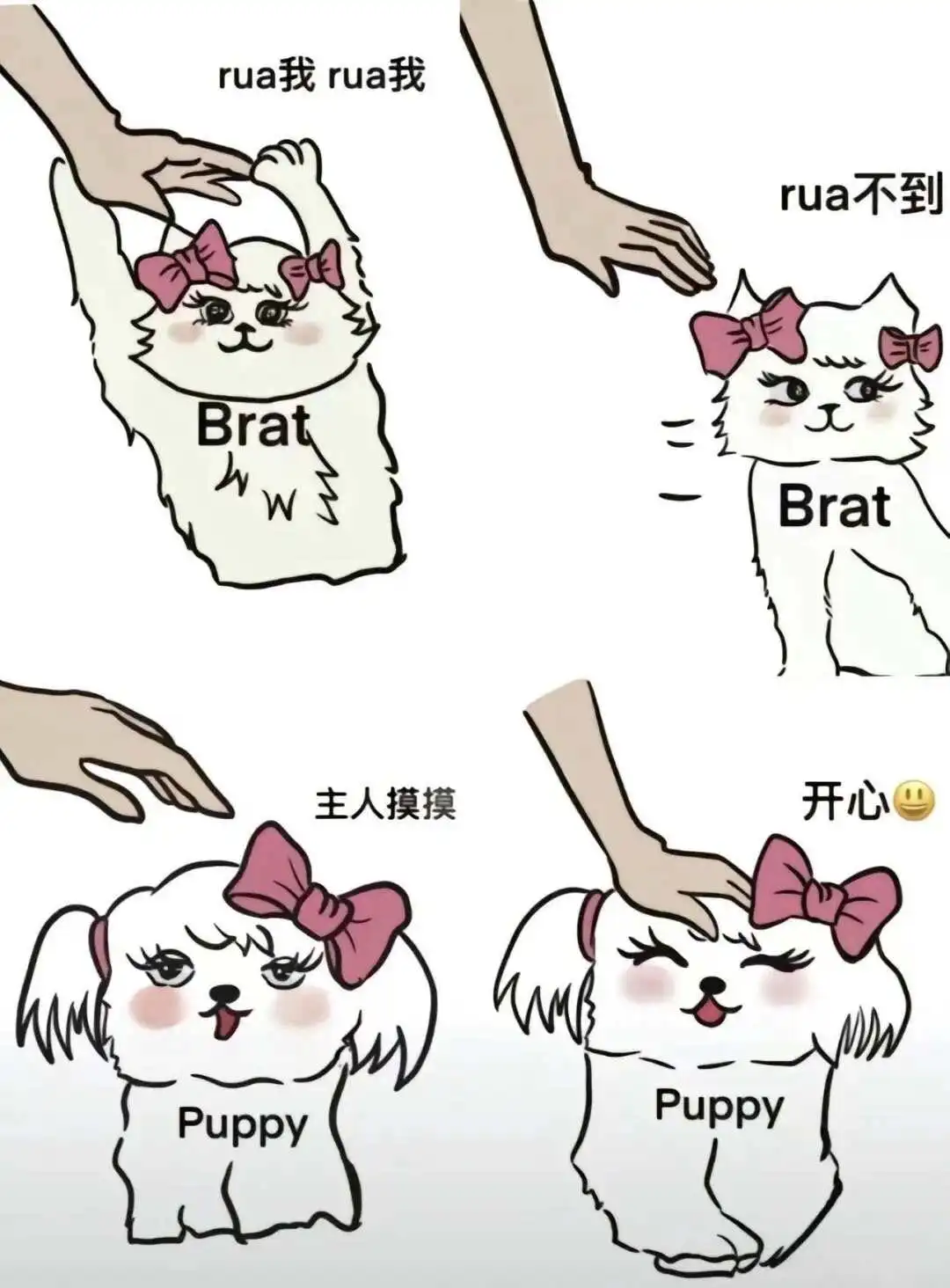 西檬之家k8猫系是什么?字母圈新人入圈 一